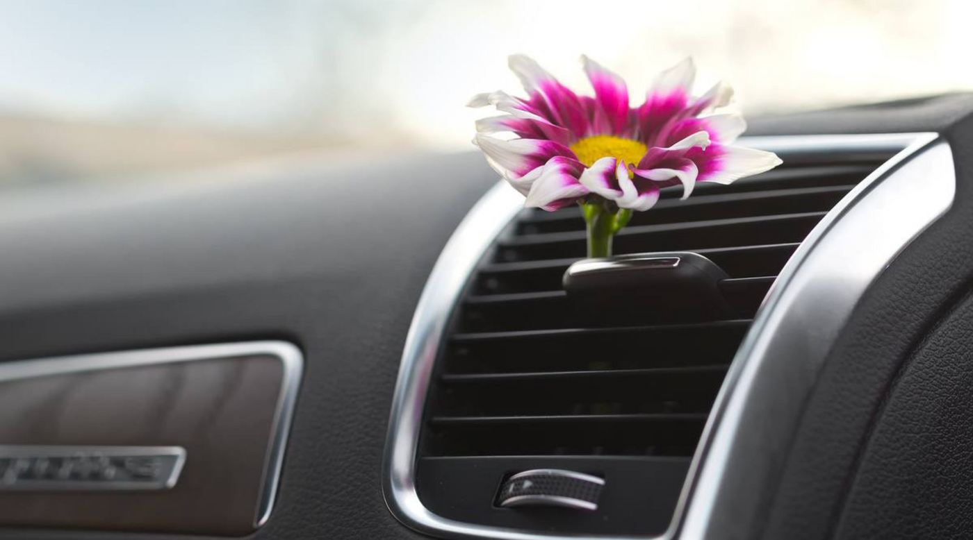 How Often Should You Change Your Car Air Freshener?